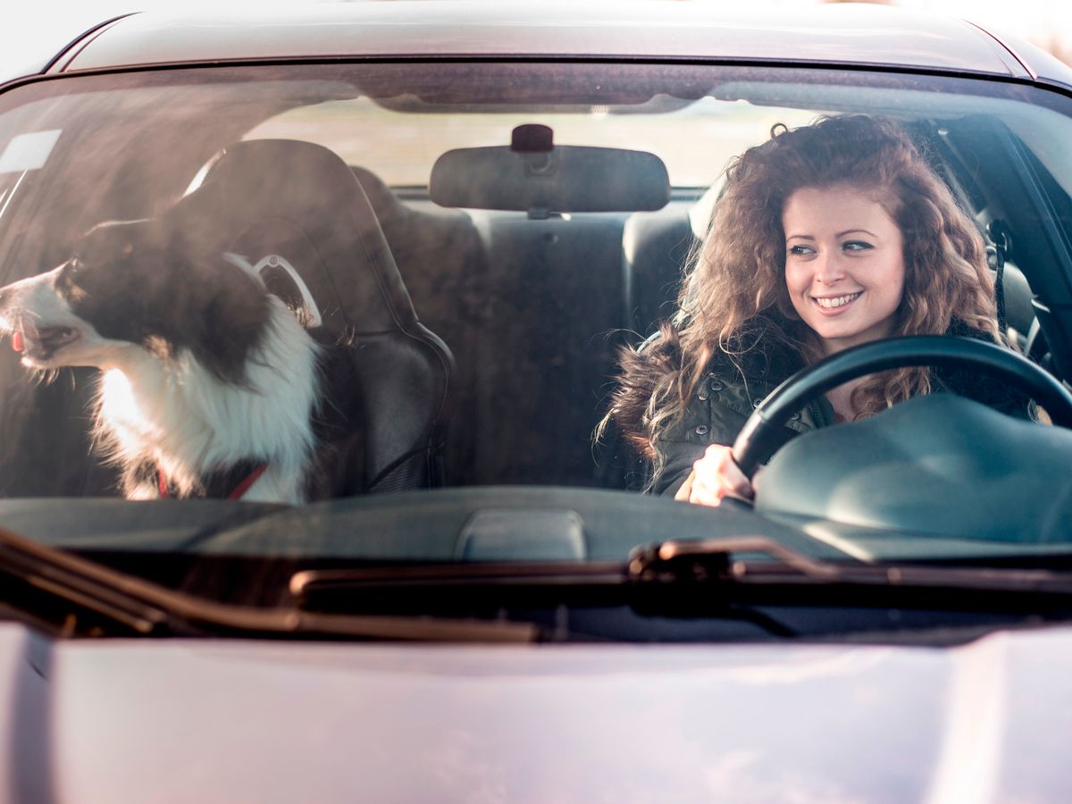 Consejos para contratar tu primer seguro de auto Segurarse